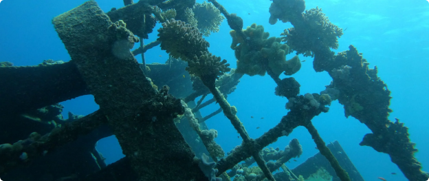 Shipwreck (SS. HAMADA)